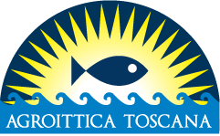 Agroittica Toscana, Michele Rossi segretario Flai-Cgil: “L’azienda inquadrerà adeguatamente i lavoratori: notizia molto positiva”
